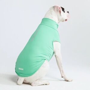 Spark Paws dog T-shirt